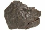 Chondrite Meteorite ( g) - Western Sahara Desert #222386-1